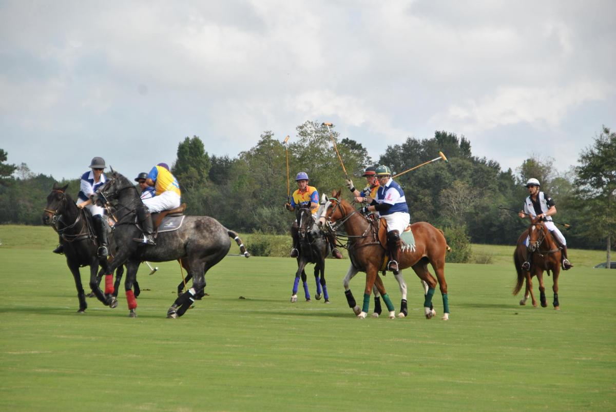 United Way of Southeast Louisiana - Harvest Cup Polo Classic